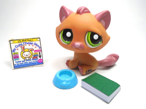 Littlest Pet Shop Taby cat #1710 with accessories