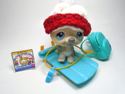 Littlest Pet Shop Husky #69 with accessories