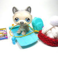 Littlest Pet Shop Husky #69 with accessories