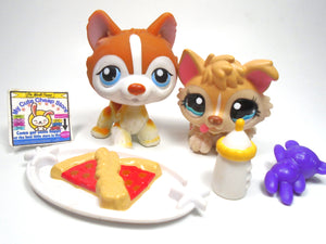 Littlest Pet Shop Mommy and Baby Husky #1012, #1013 with accessories