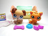 Littlest Pet Shop Babay Boxer #143 and Kitten #1691 with accessories