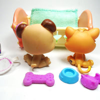 Littlest Pet Shop Babay Boxer #143 and Kitten #1691 with accessories