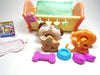 Littlest Pet Shop Babay Boxer #143 and Kitten #1691 with accessories