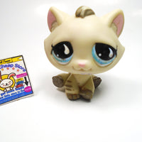 Littlest Pet Shop Taby cat