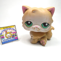 Littlest Pet Shop Persian cat