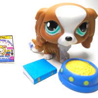 Littlest Pet Shop Charles Spaniel dog # 1825 with accessories