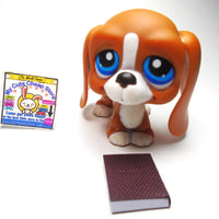 Littlest Pet Shop Basset Hound #222 with a mini book