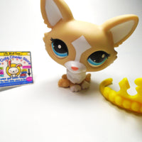 Littlest Pet Shop Corgi gen 7 #12