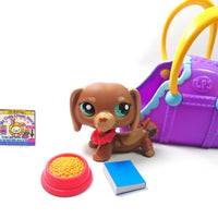 Littlest Pet Shop Dachshund #1751 with accessories