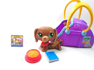 Littlest Pet Shop Dachshund #1751 with accessories