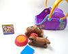 Littlest Pet Shop Dachshund #1751 with accessories