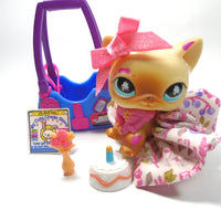 Littlest Pet Shop Messiest cat #816 with accessories