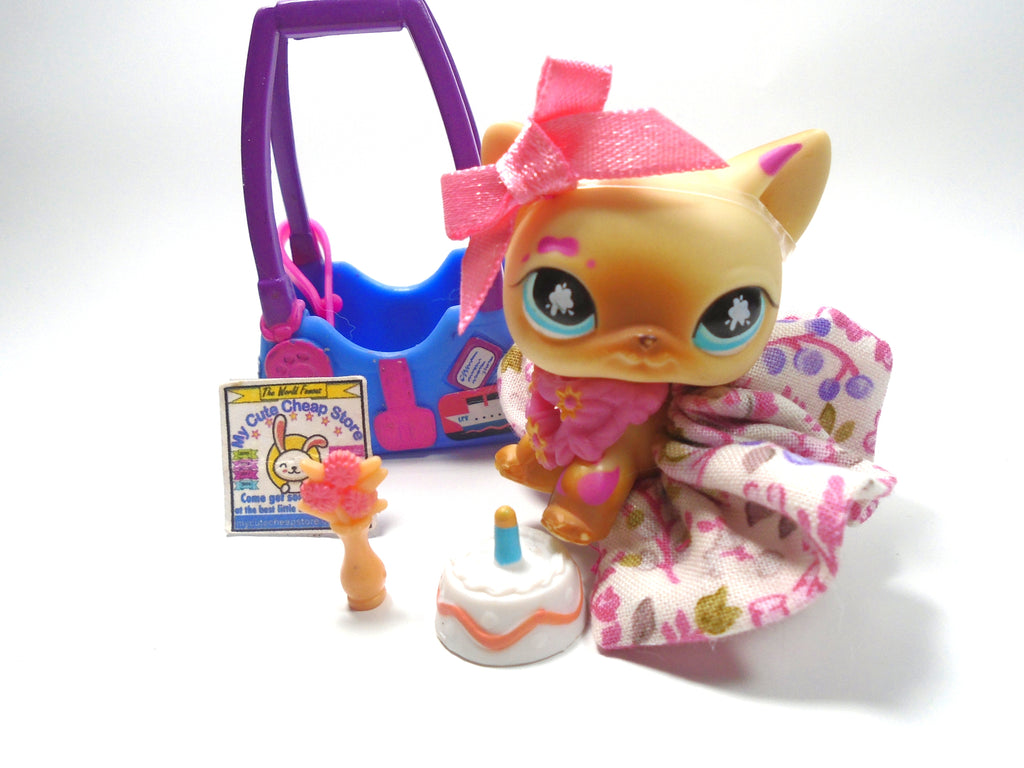 Littlest Pet Shop Messiest cat #816 with accessories