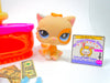 Littlest Pet Shop Yellow Sitting Persian Cat #521 & cute accessories authentic