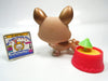 Littlest Pet Shop Shimmer Corgi # 871 with accessories