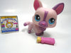 Littlest Pet Shop Lavender Corgi # 1645 with accessory