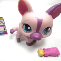 Littlest Pet Shop Lavender Corgi # 1645 with accessory