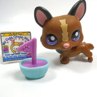 Littlest Pet Shop Corgi # 1767 with accessory