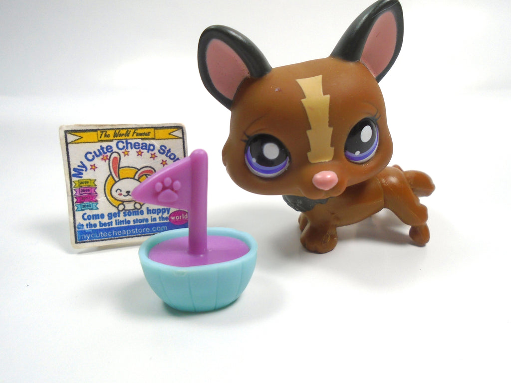 Littlest Pet Shop Corgi # 1767 with accessory