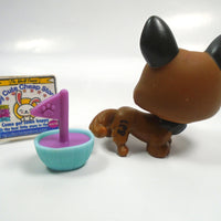 Littlest Pet Shop Corgi # 1767 with accessory