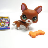 Littlest Pet Shop Corgi #897 with accessory