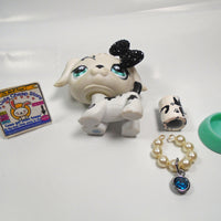 Littlest Pet Shop Dalmatian dog #469 with cute accessories