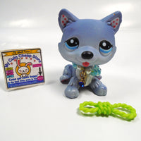 Littlest Pet Shop Husky dog # 1617 with accessory