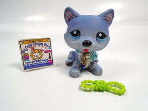 Littlest Pet Shop Husky dog # 1617 with accessory