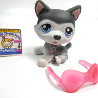 Littlest Pet Shop sitting Husky dog #210 with glasses