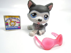 Littlest Pet Shop sitting Husky dog #210 with glasses