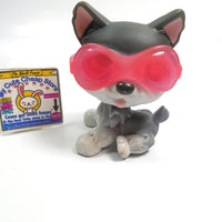 Littlest Pet Shop sitting Husky dog #210 with glasses