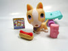 Littlest Pet Shop Bull Terrier #860 with accessories