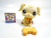 Littlest Pet Shop Golden Retriever #436 with accessories