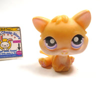 Littlest Pet Shop kitten #114