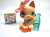 Littlest Pet Shop German Shepard dog #744 with accessories