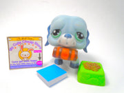 Littlest Pet Shop Rare Blue St. Bernard Dog #1087 & cute accessories authentic