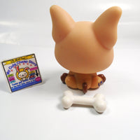 Littlest Pet Shop French Bulldog #1847 with a bone