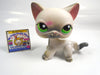 Littlest Pet Shop short hair cat #125