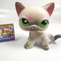 Littlest Pet Shop short hair cat #125