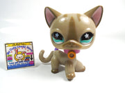 Littlest Pet Shop Keychain short hair cat #468