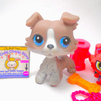 Littlest Pet Shop Grey Collie Dog #67 with accessories authentic