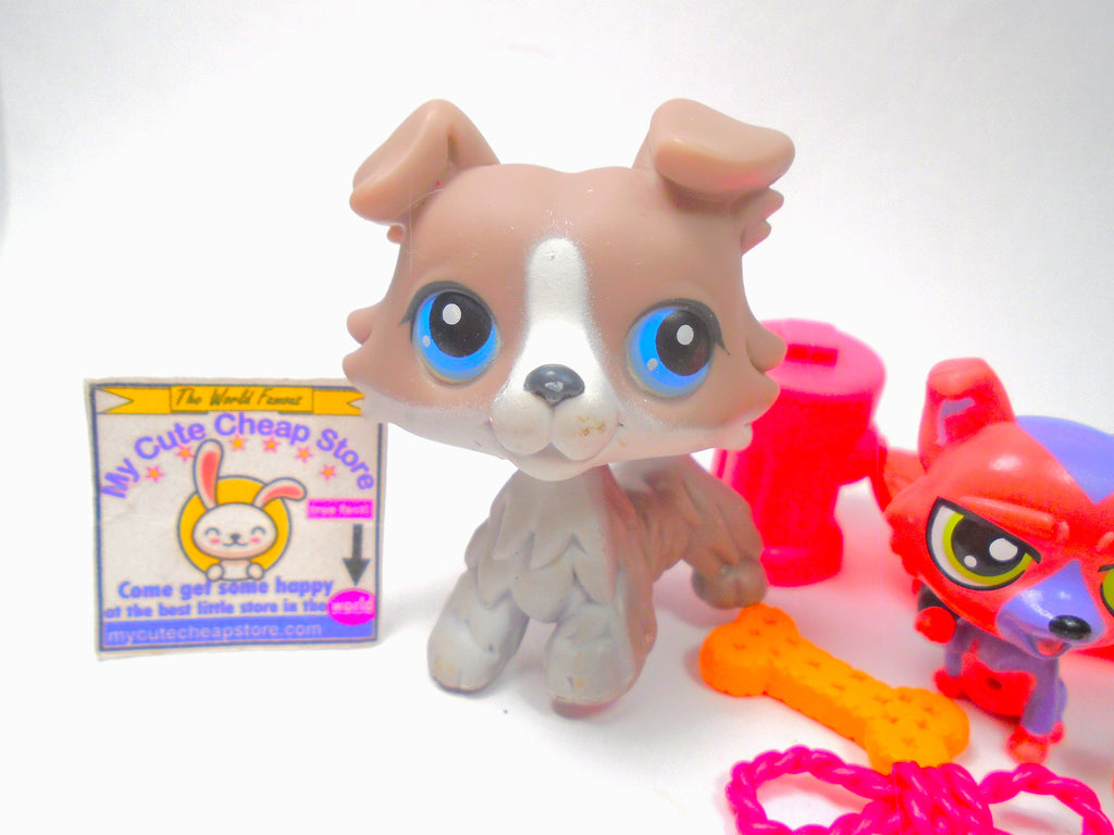 Littlest Pet Shop Grey Collie Dog #67 with accessories authentic