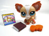 Littlest Pet Shop Golden Chihuahua dog #1082 with accessories