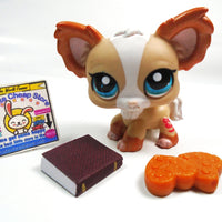 Littlest Pet Shop Golden Chihuahua dog #1082 with accessories