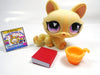 Littlest Pet Shop Crouching cat #848 with accessories