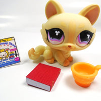 Littlest Pet Shop Crouching cat #848 with accessories