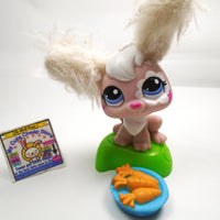 Littlest Pet Shop Bunny #2485 with accessories