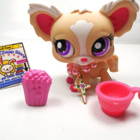 Littlest Pet Shop Chihuahua #1892 with accessories