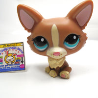 Littlest Pet Shop Weish Corgi #1864