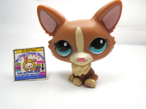 Littlest Pet Shop Weish Corgi #1864